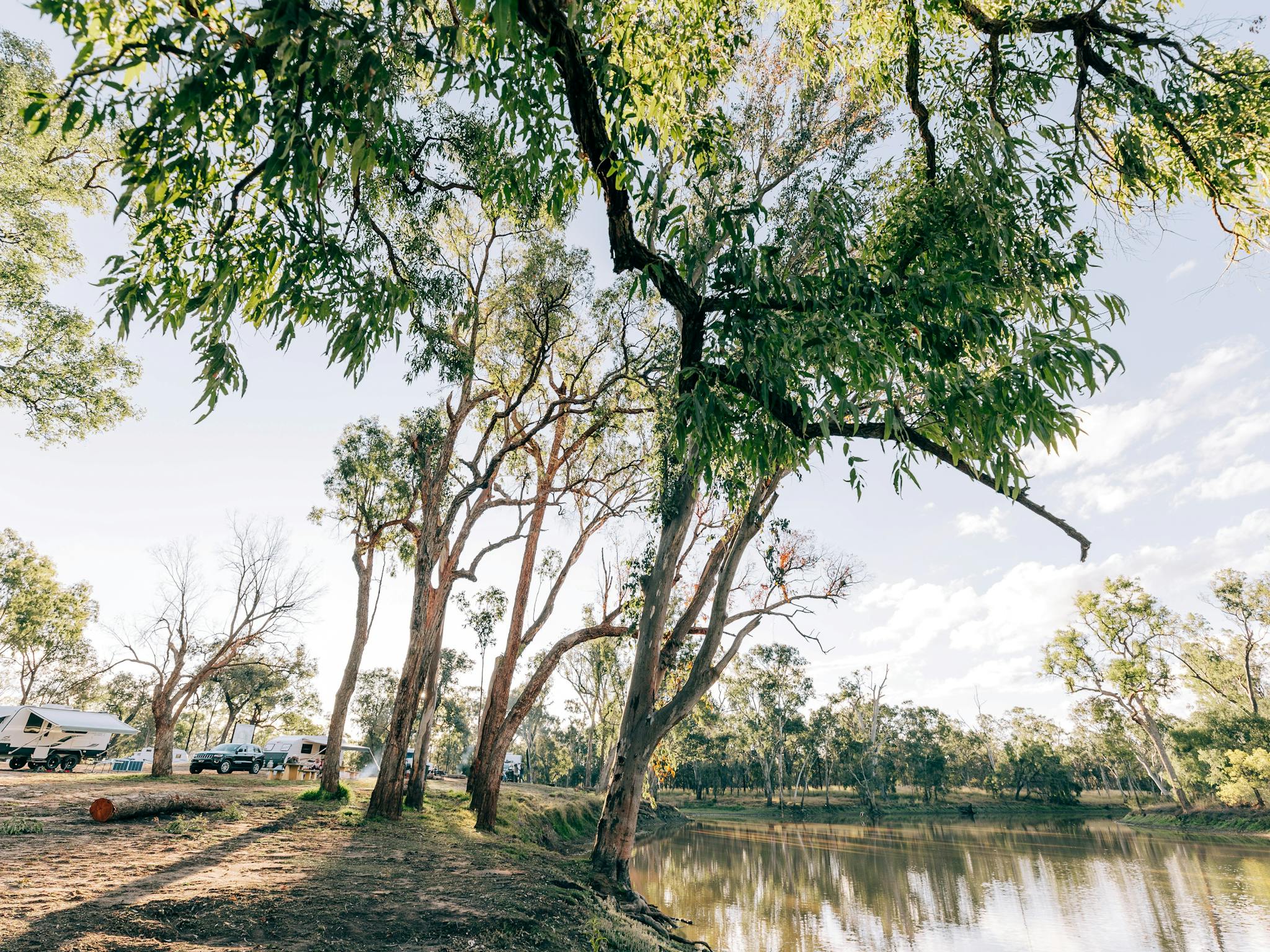 Trees standing between parked caravans and a lagoon Trees standing between parked caravans and a lagoon