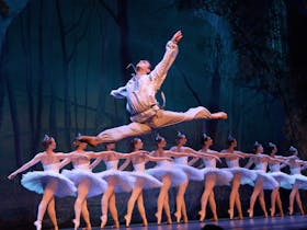 The Grand Kyiv Ballet of Ukraine Presents Forest Song and Don Quixote Cover Image