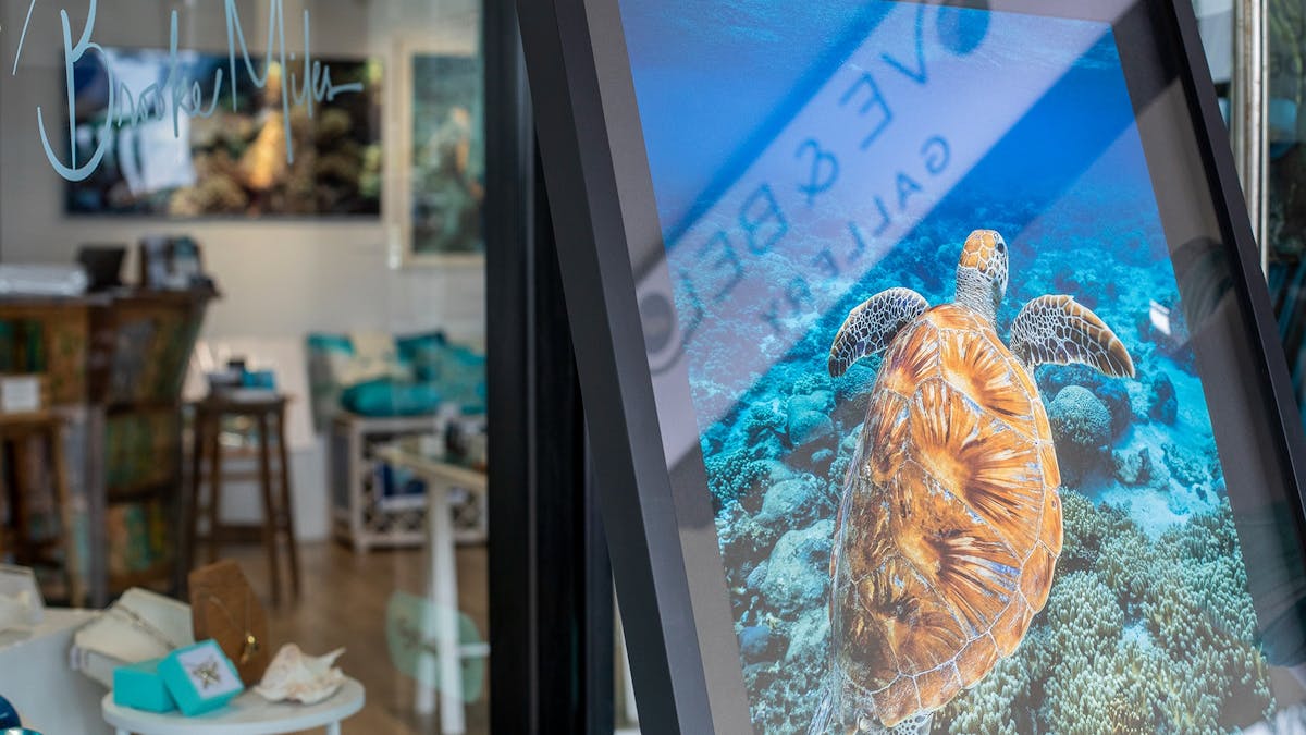 framed turtle print at the doorway with Above and Below sign reflecting on the glass.