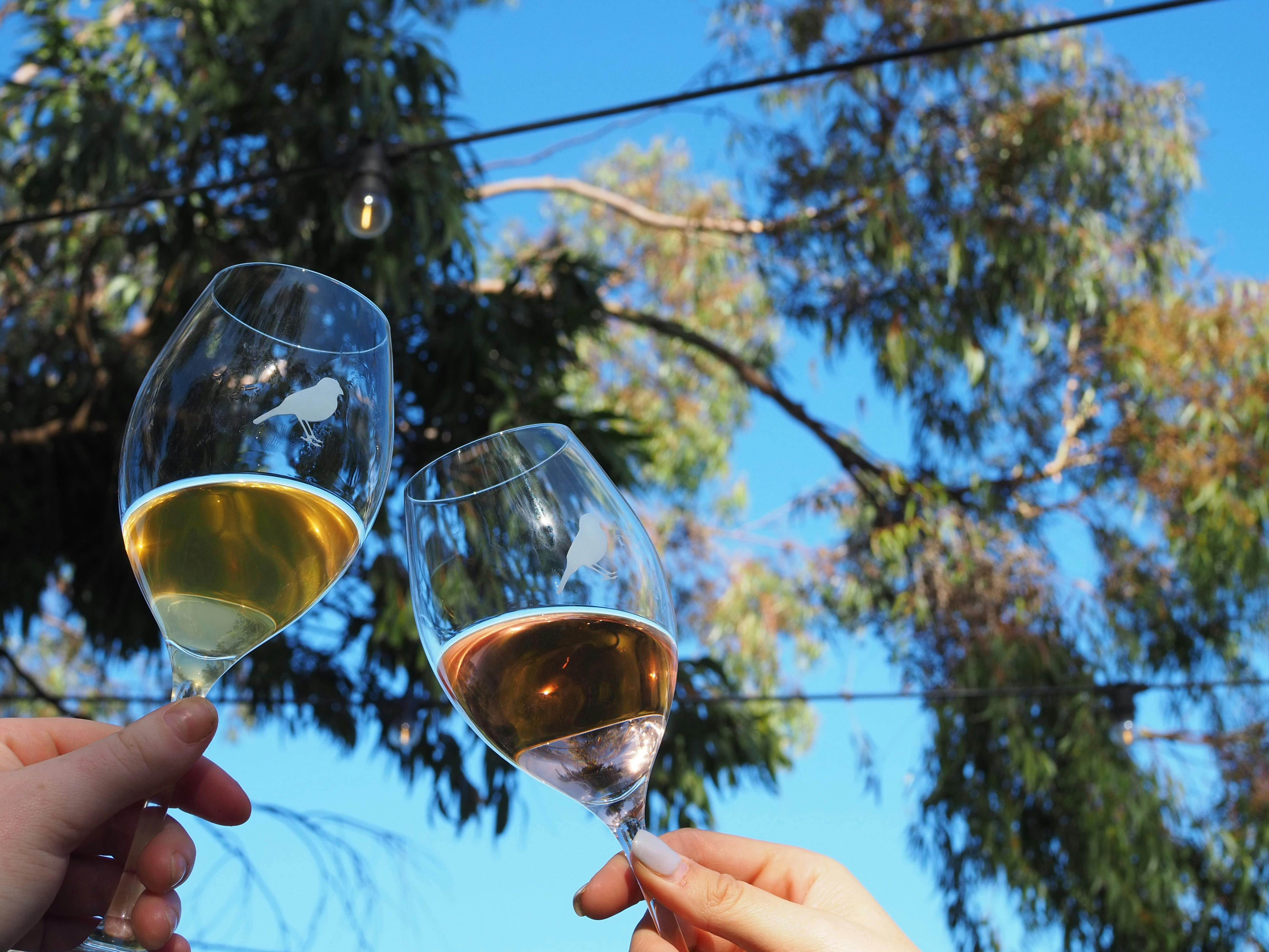 Summer Twilight Session at Bec Hardy Wines
