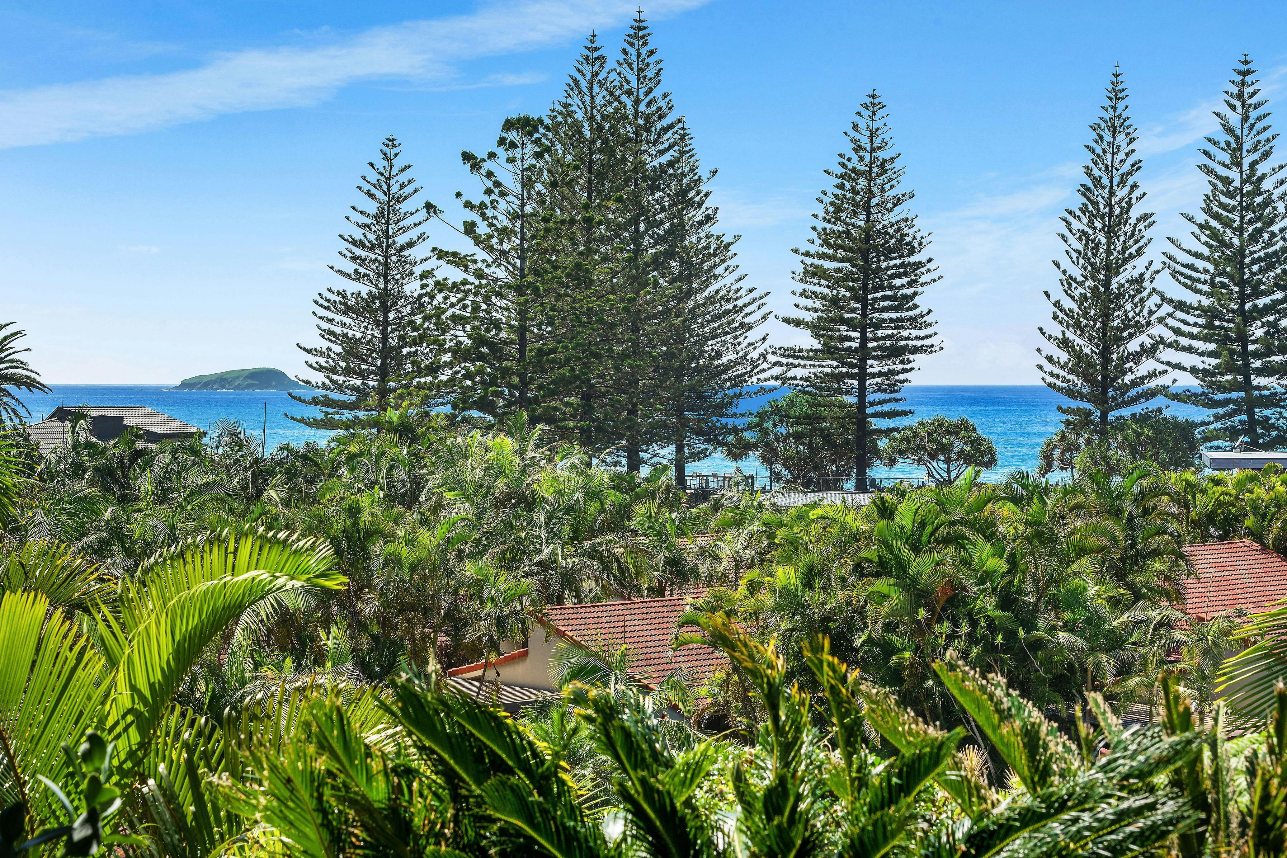 열대 지방의 풍경