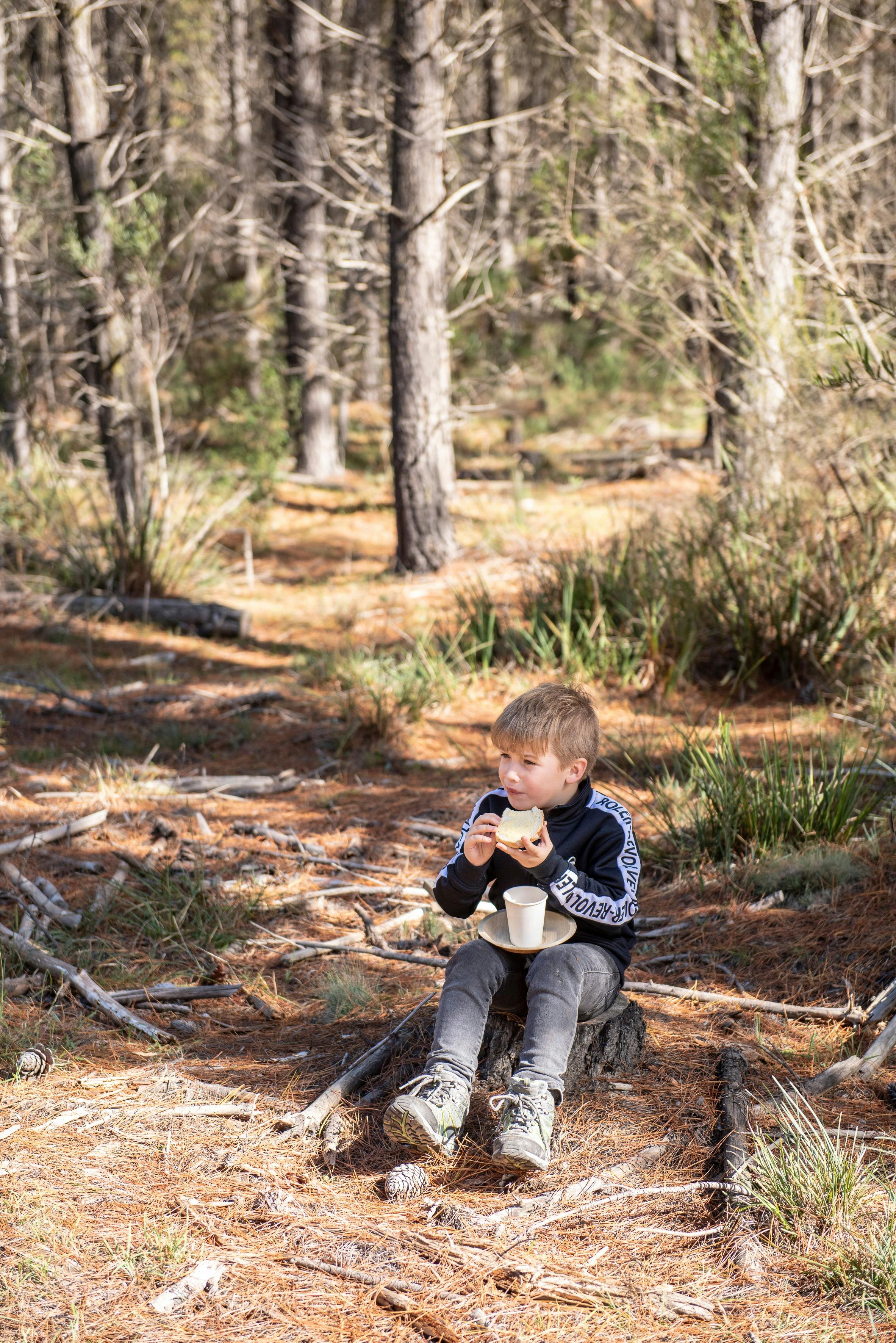 Mushroom Foraging Workshops