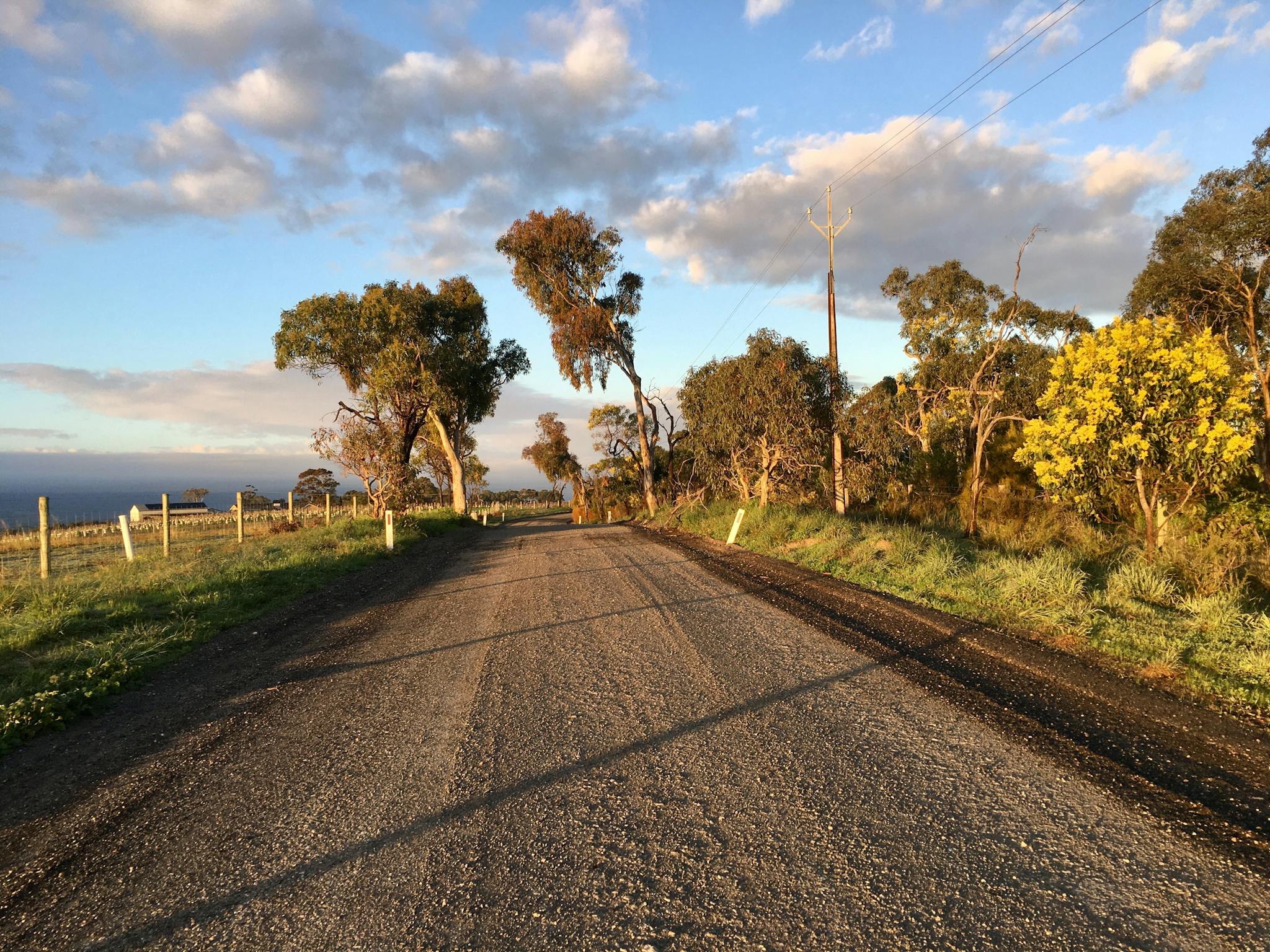 Back road in the McLaren Vale wine region