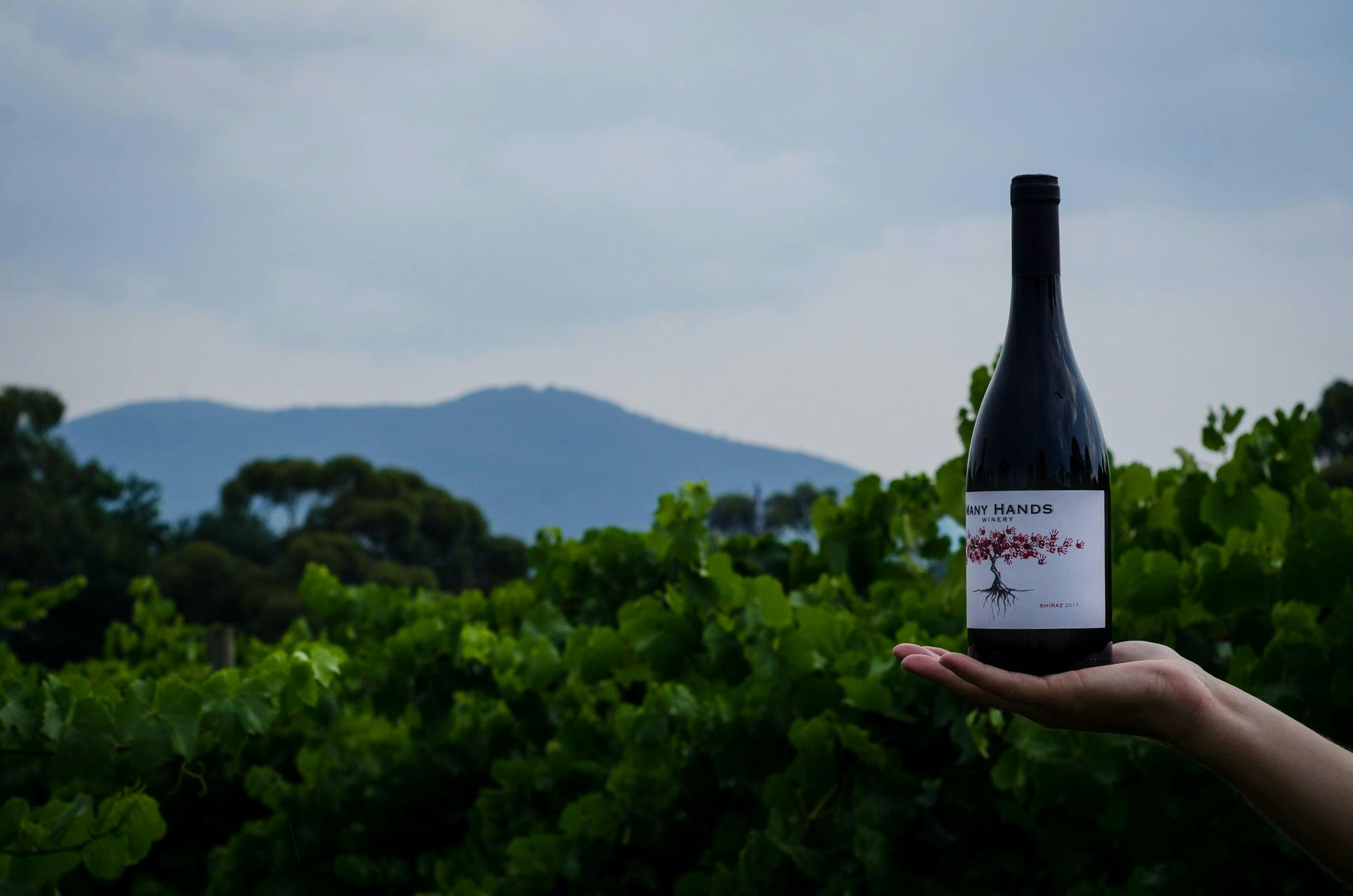 Many Hands Winery