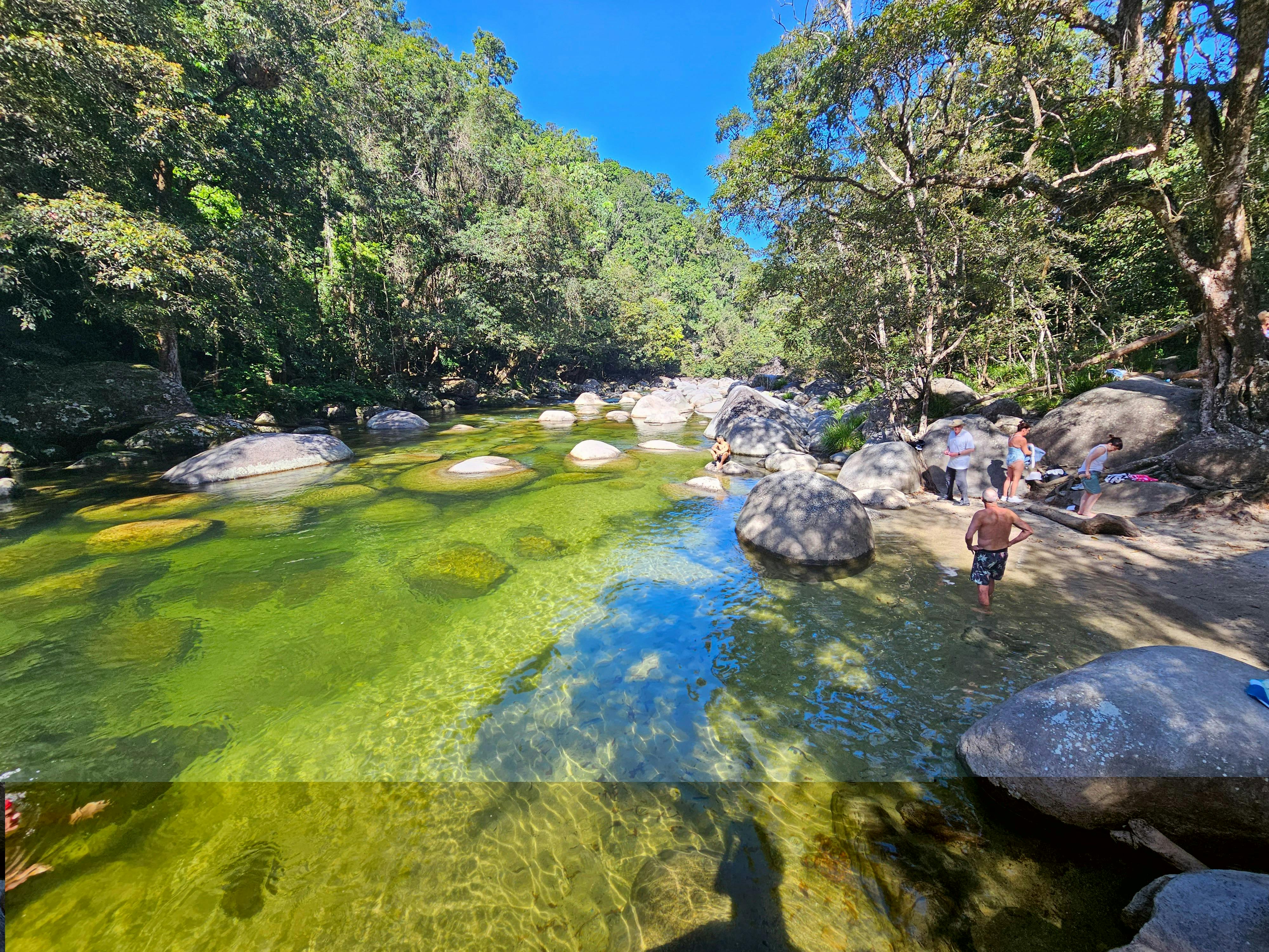 Swimming Area - Mossman Gorge