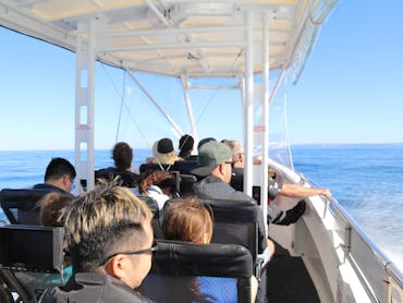 Sunshine Coast Wildlife Experience