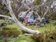 A family enjoying a picnic lunch amongst the snow gums at Falls Creek