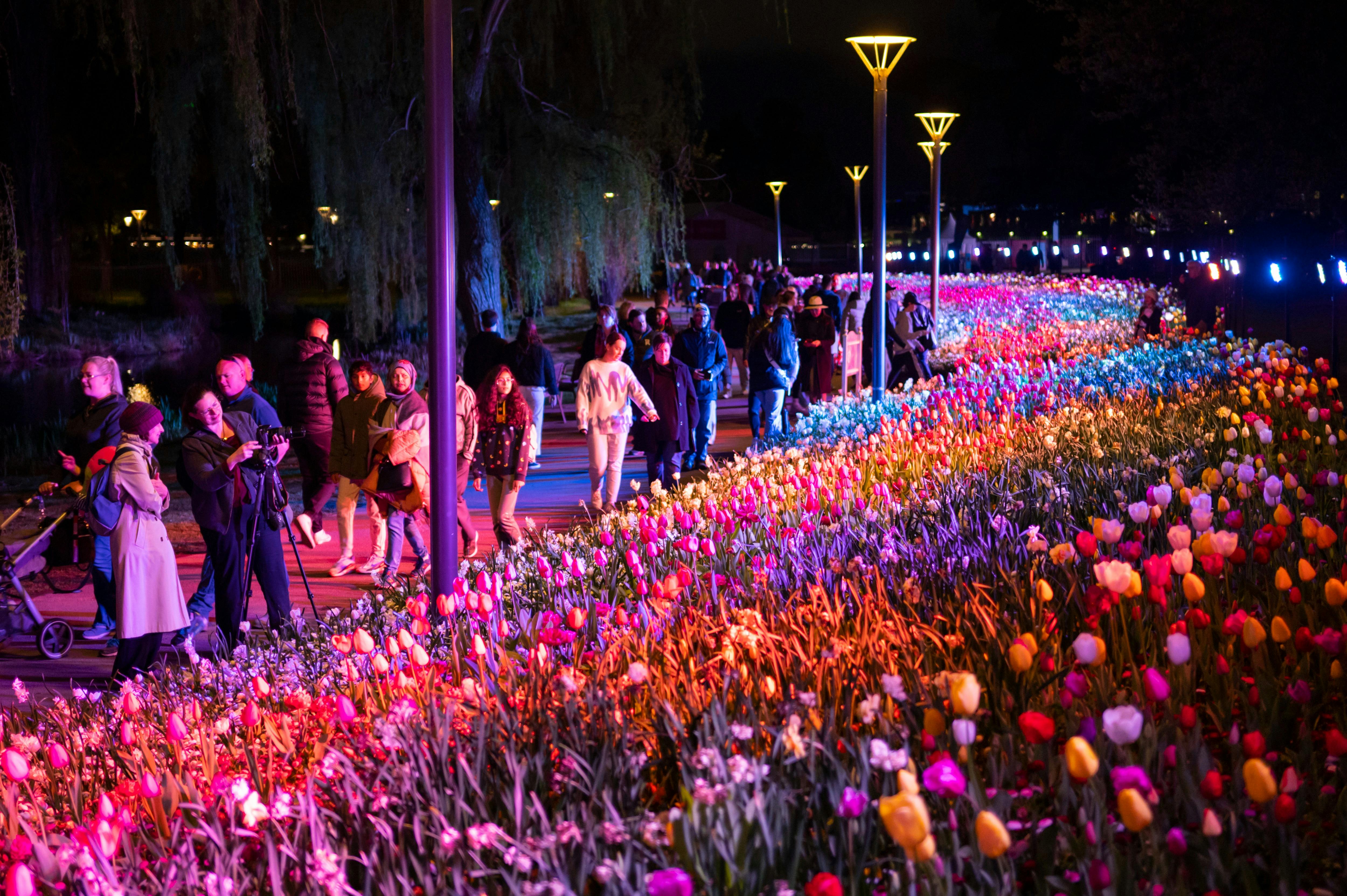NightFest 2025