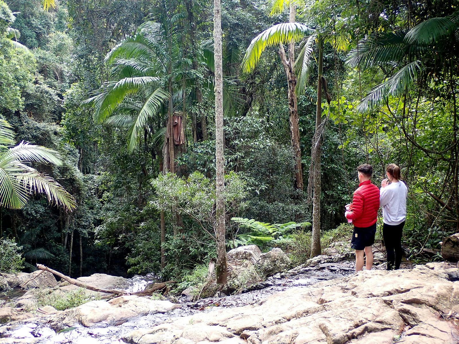 Green Falls D'Aguilar National Park