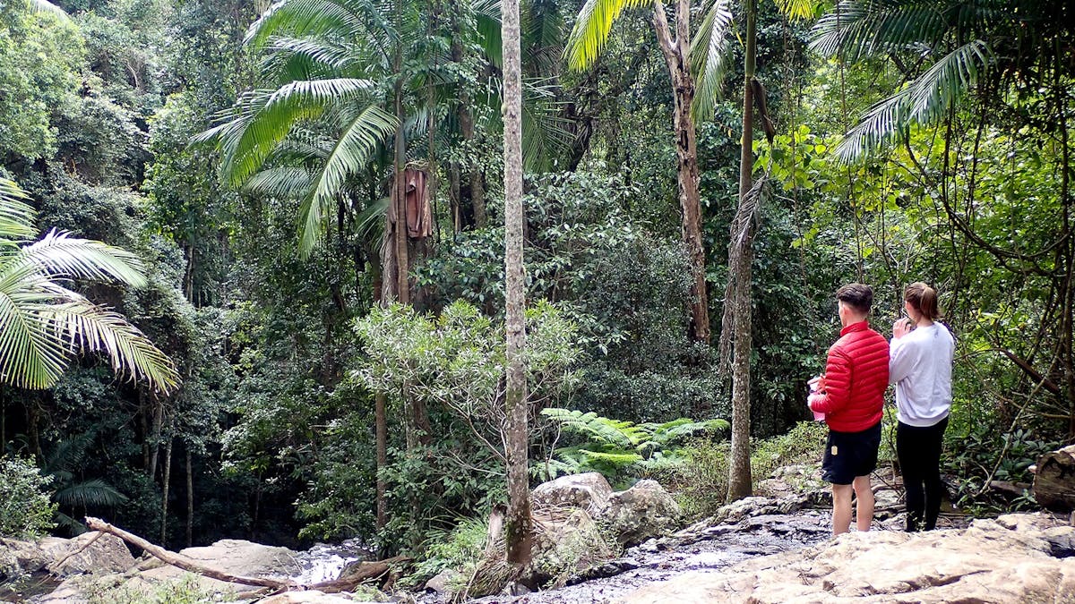 A young couple enjoying the view of the waterfall at the Maiala Rainforest Tour