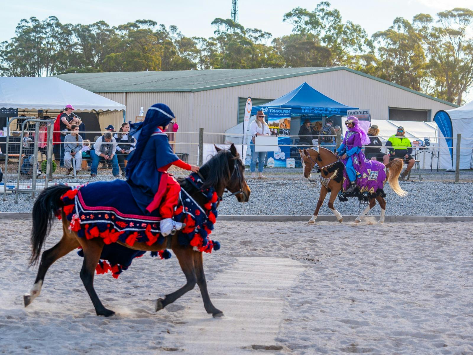 A rider and horse clear a jump at Agfest’s equestrian show as spectators watch.