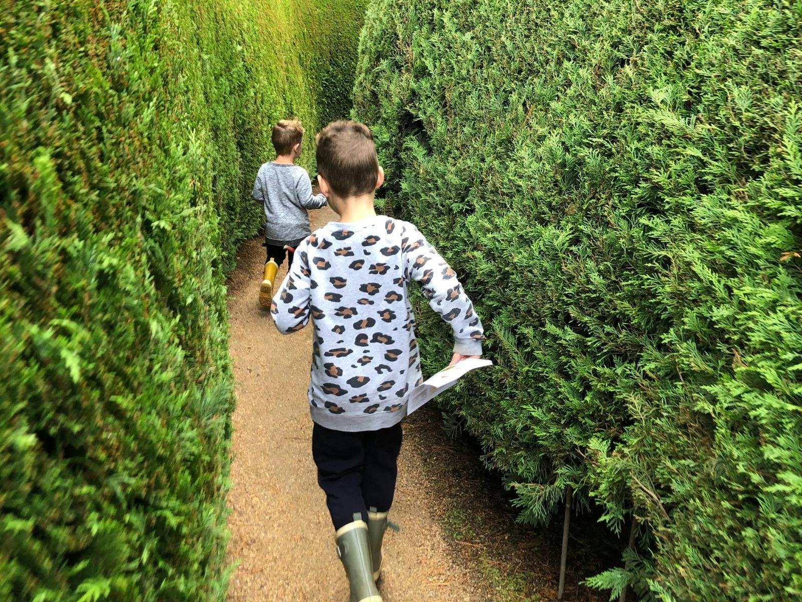hunter in maze