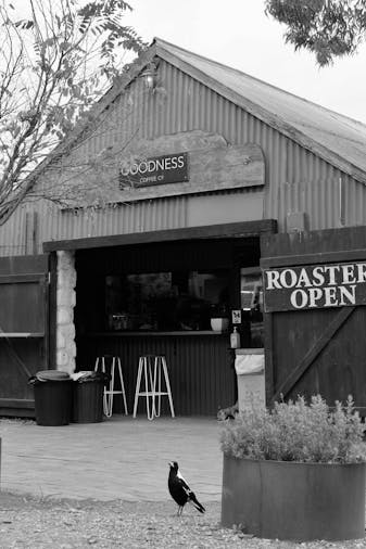 Goodness Coffee Co