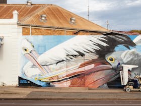 Tumby local in his gopher cruising past Dvate's 2018 Pelicans Mural