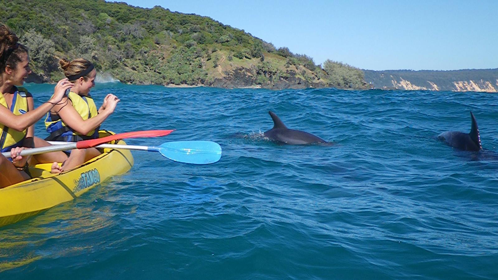 private kayak tour Noosa