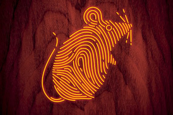 阿加莎克莉絲蒂的《捕鼠器》