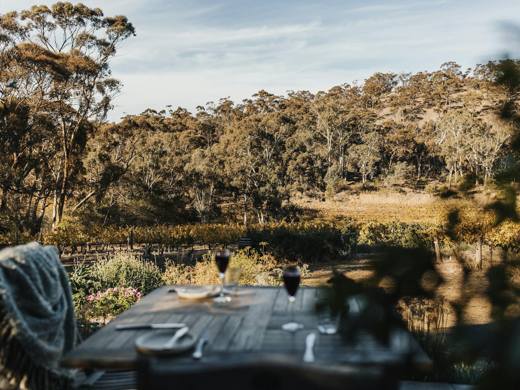 Looking out from Skillogalee's restaurant over the wooded hills of the Clare Valley