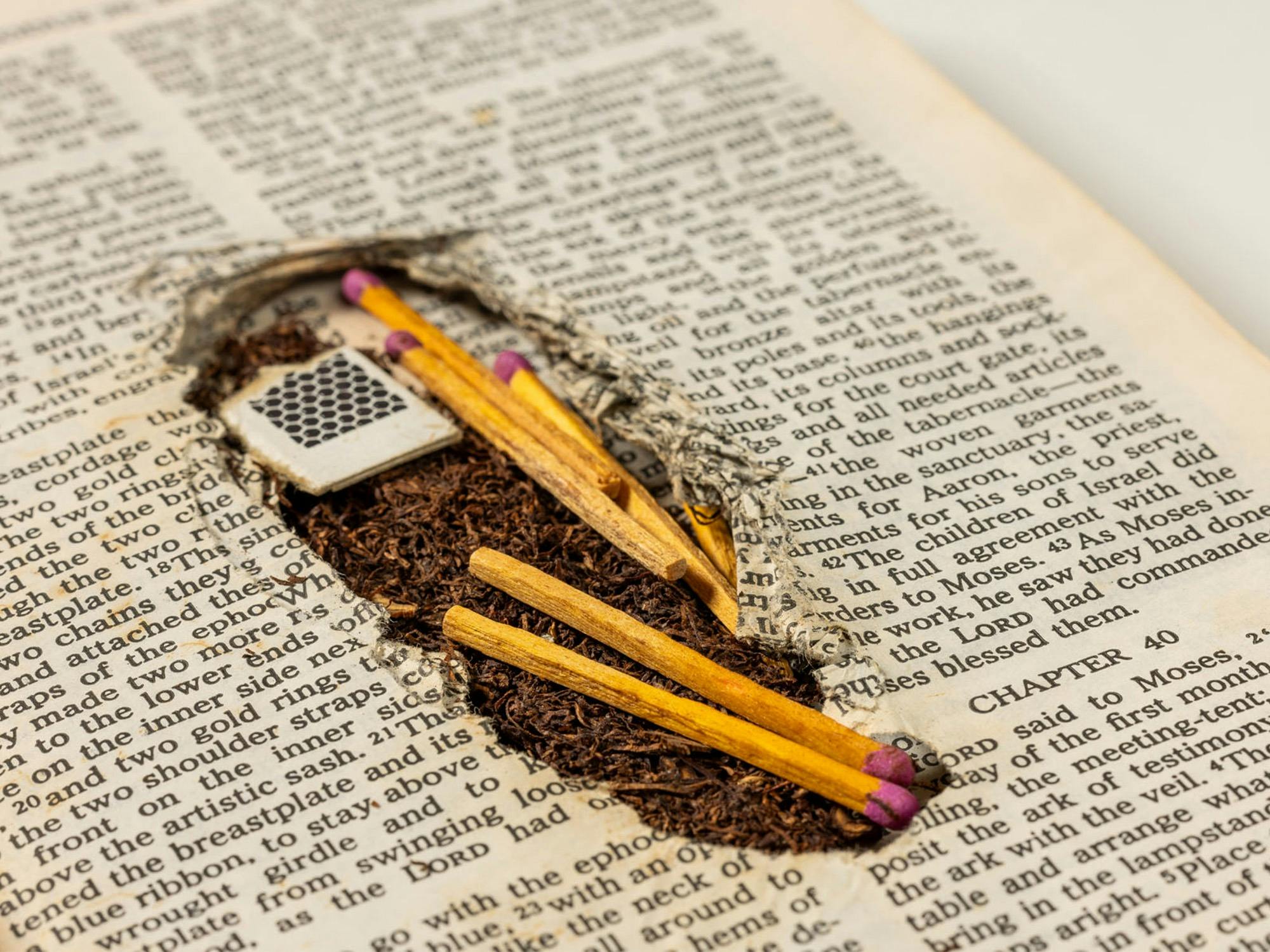 Open book with hidden compartment in pages hiding matchsticks and herb.