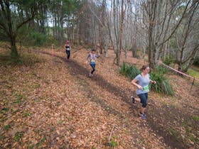 The Trail Running Series  - Race 3 - Silvan Cover Image