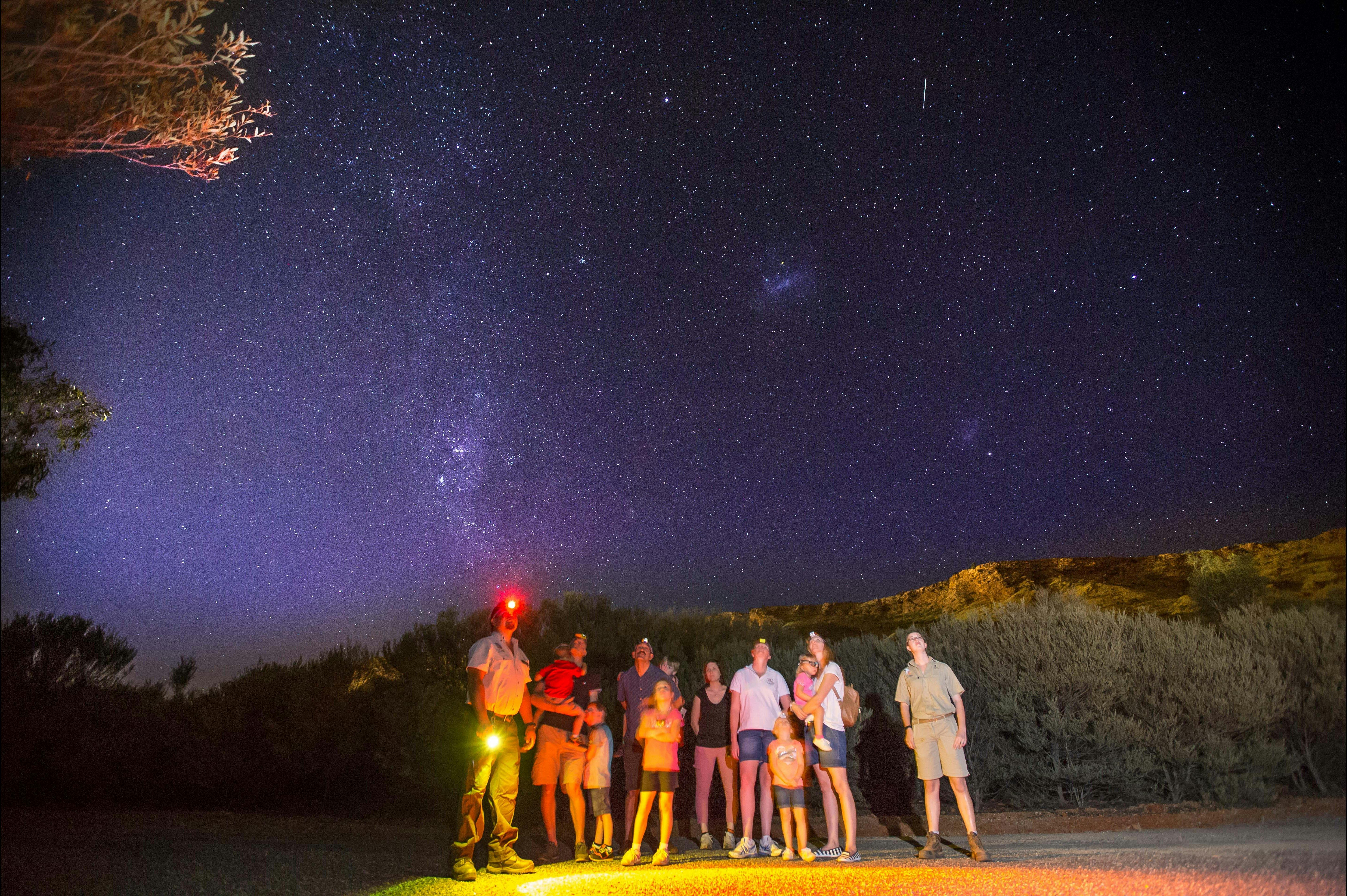 Alice Springs Desert Park - Nocturnal Tour