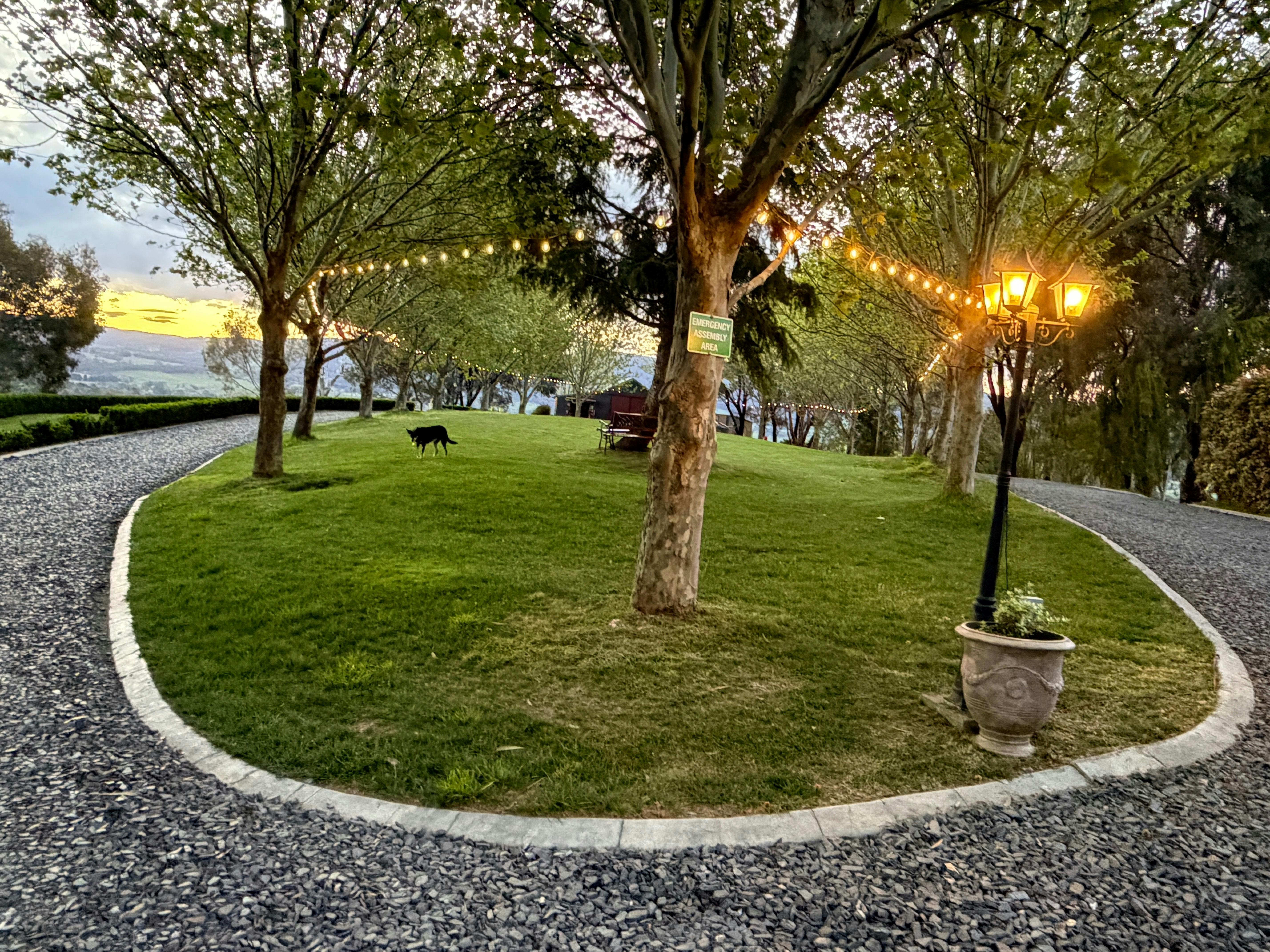 outdoor event centre, lawn, lights and trees