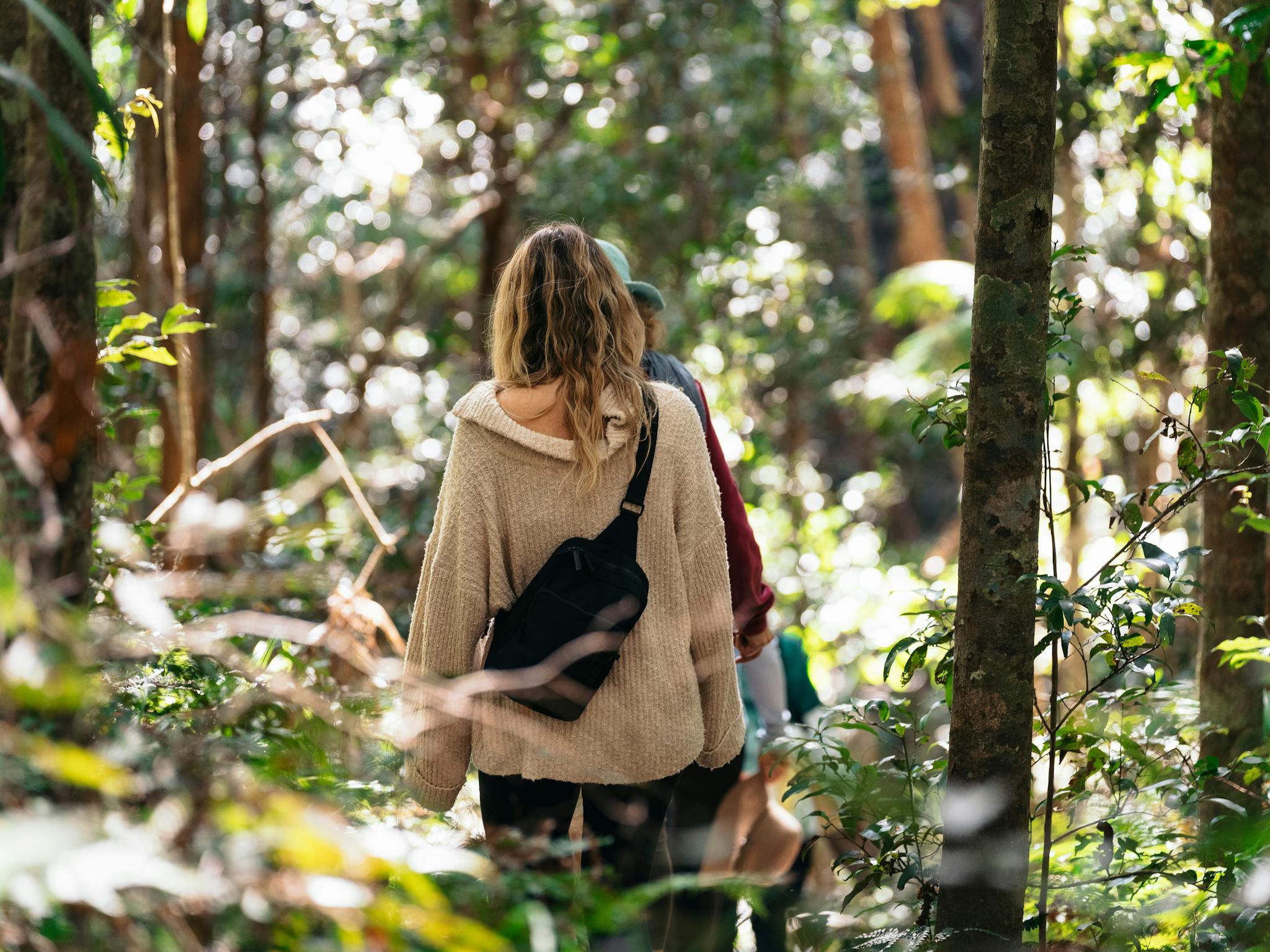 Women forest bathing walking in rainforest Women forest bathing walking in rainforest