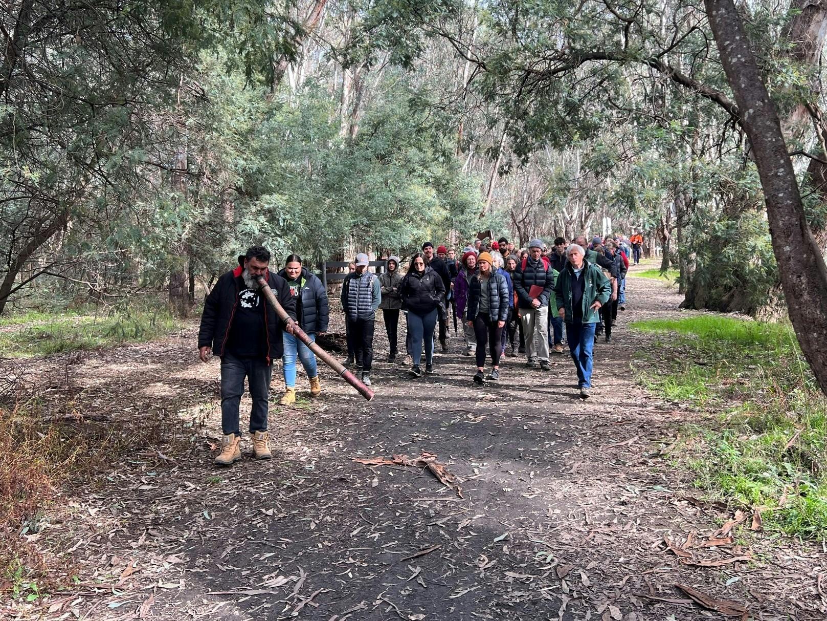 Bangerang elder Uncle Dozer Atkinson leading a cultural walk with didgeridoo performance.