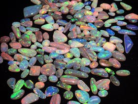 We have Adelaide's largest opal collection, come in and visit our onsite workshop.