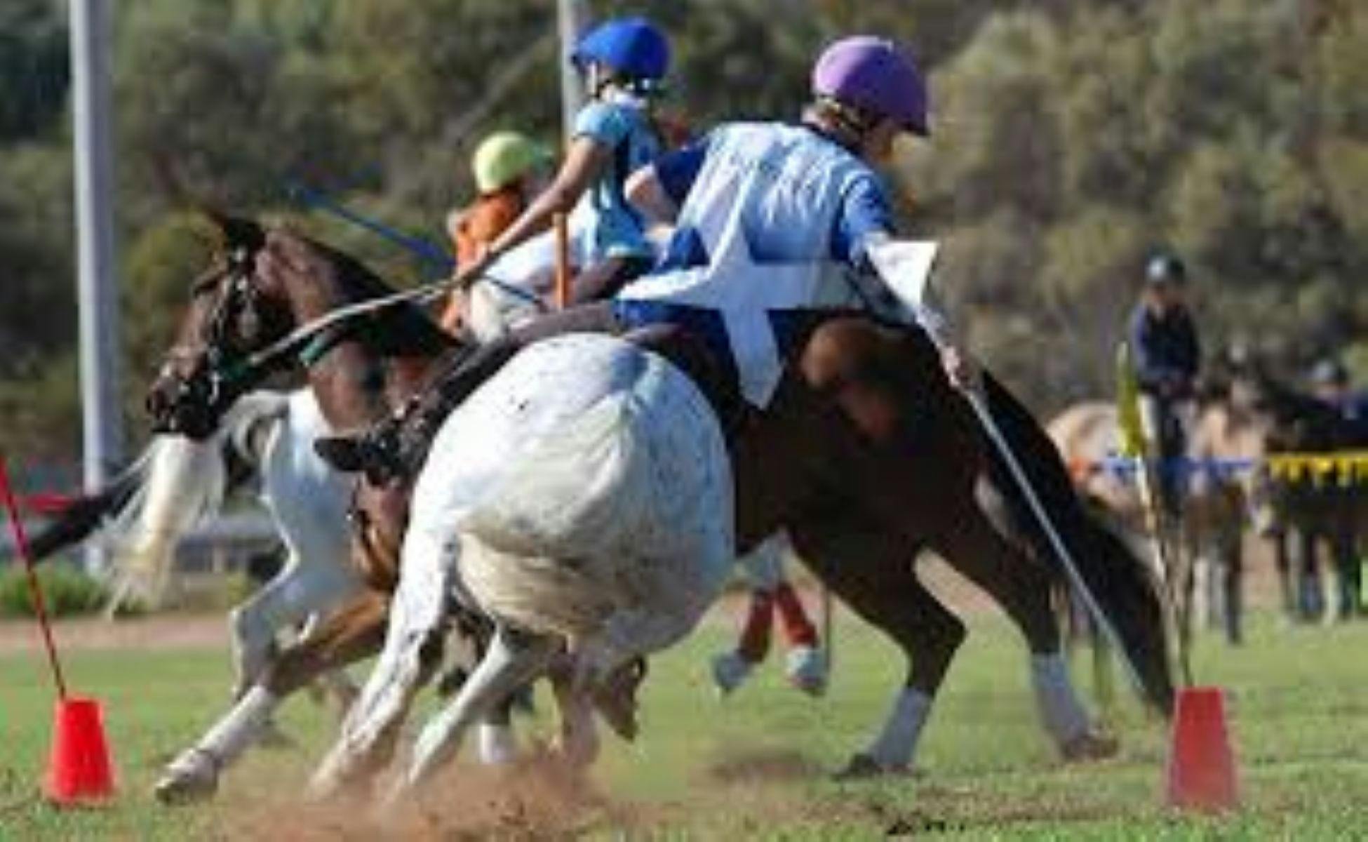 Image of Riders and Horses