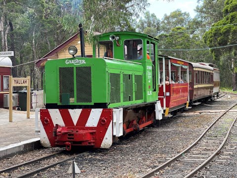 Green train with three brown carriages pulling up to a platform at Illawarra Light Railway Museum