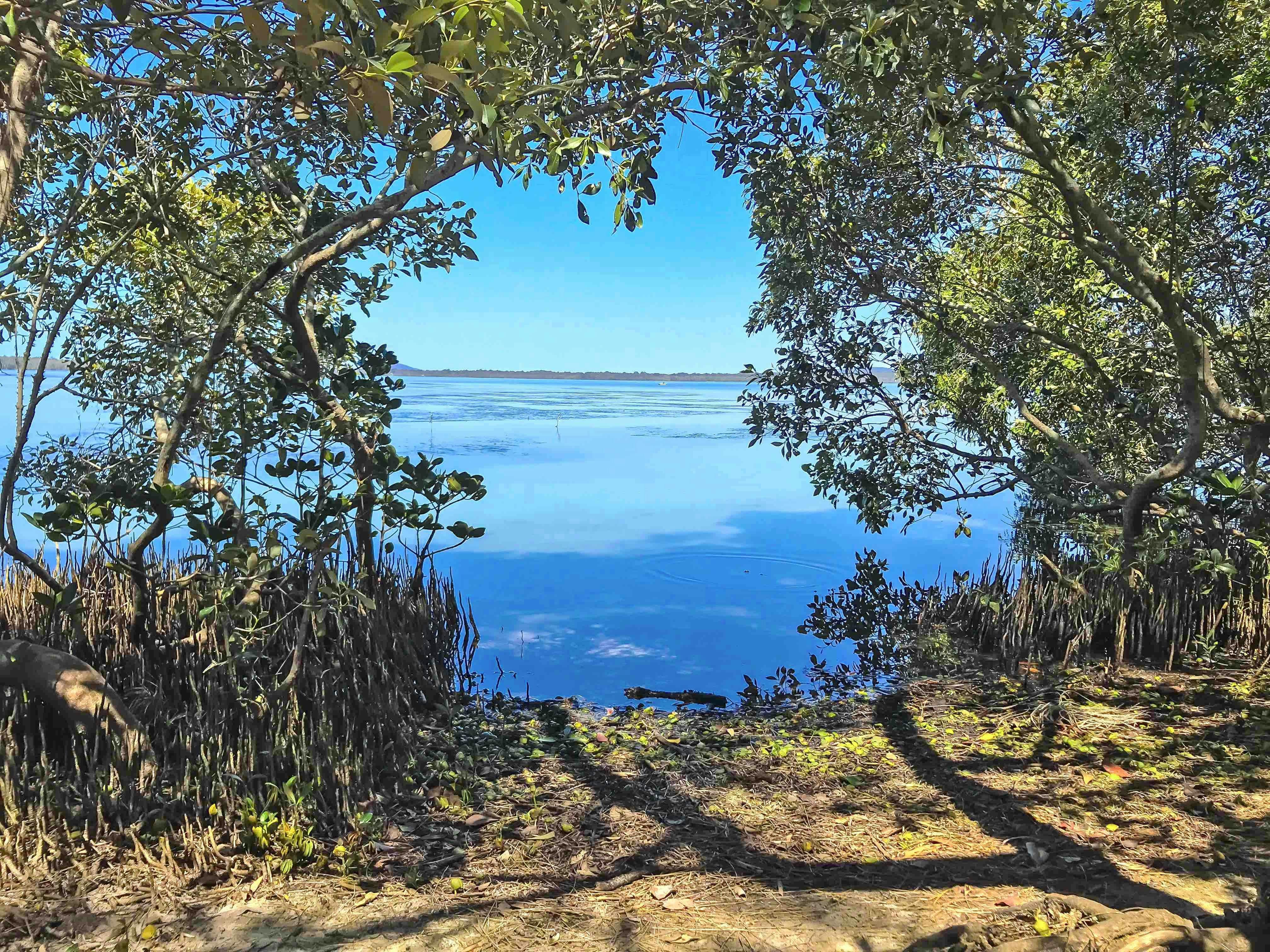 Joel's Journeys - Secrets of Noosa Tour