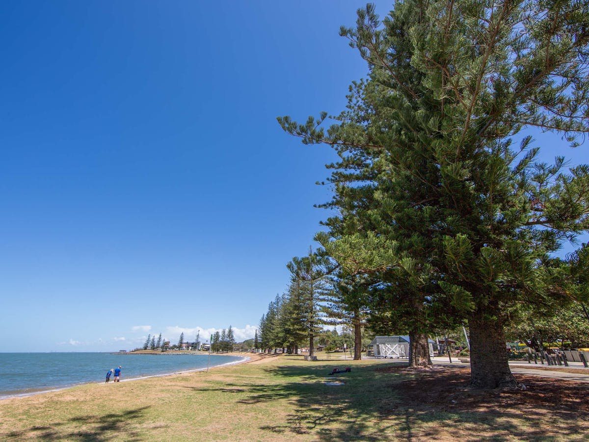 A row of trees line the waterfront at Scarborough Beach Park A row of trees line the waterfront at Scarborough Beach Park