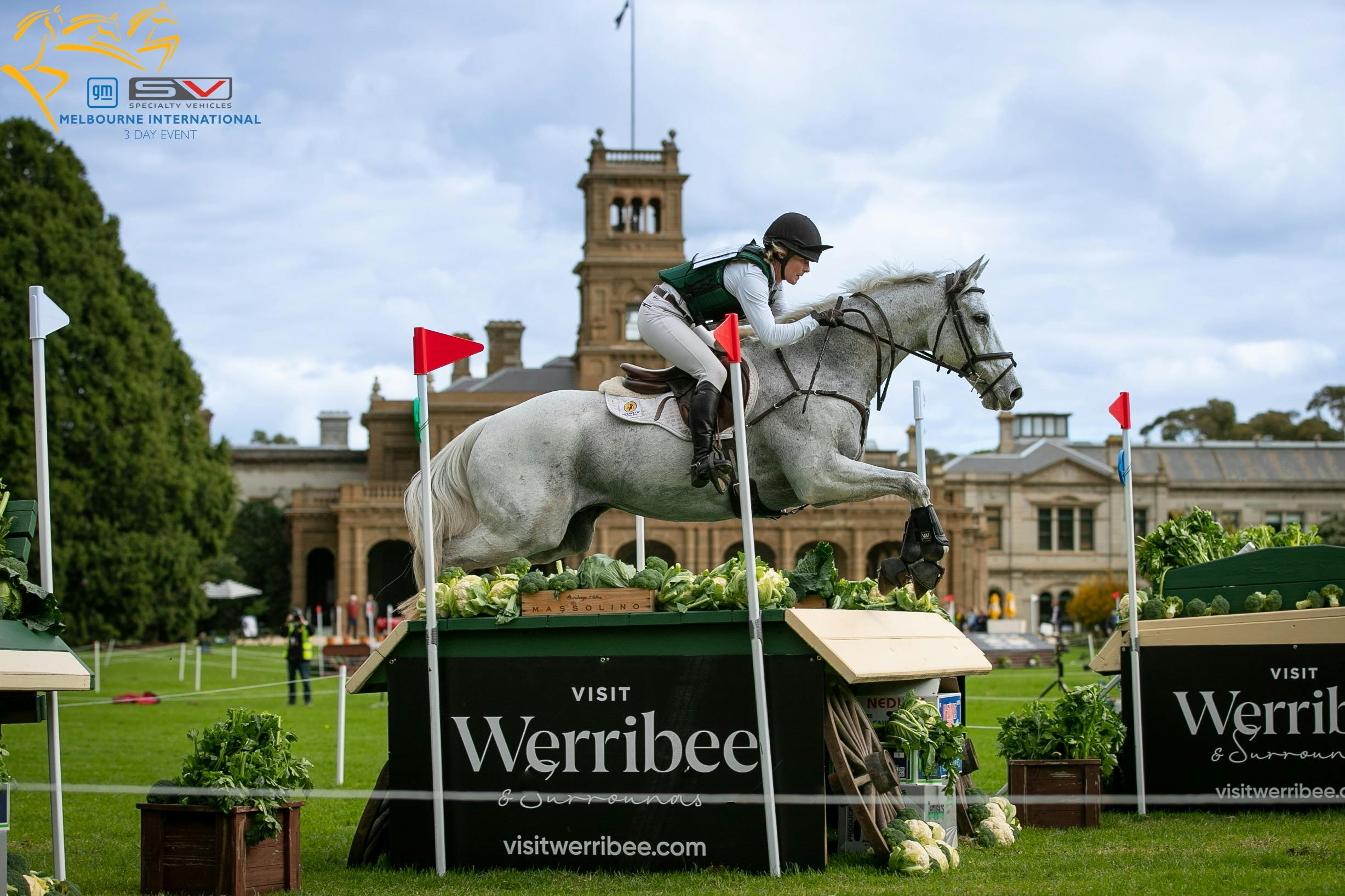 Rider jumping over hurdle