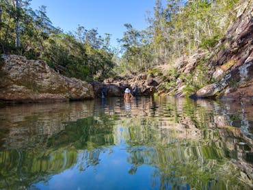 Araucaria Track, Queensland, Australia - 522 Reviews, Map