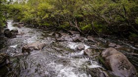 Gloucester River walking track