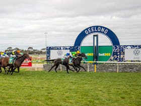 Horses crossing the winning line at Geelong Racing Club
