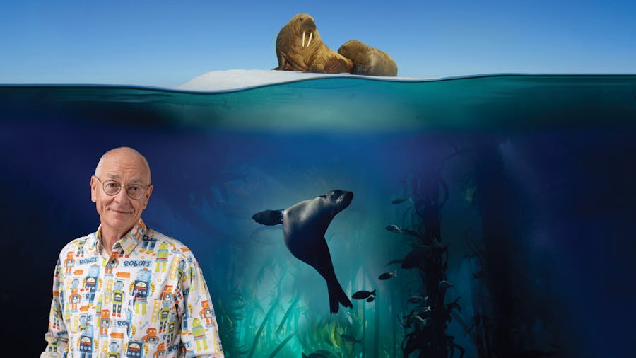Blue Planet II In Concert Festival of Orchestra