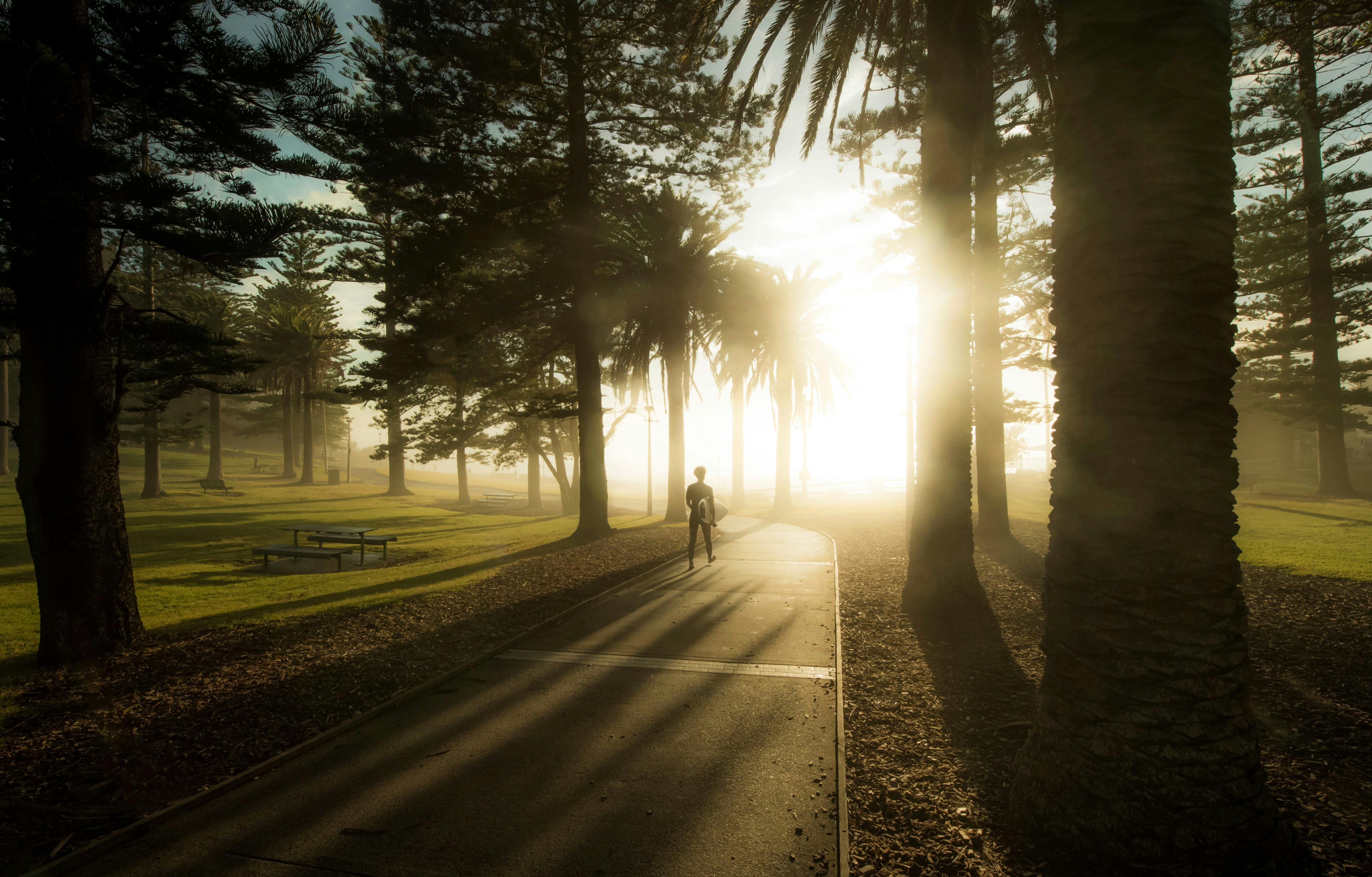 Sunrise surf at Cronulla Beach