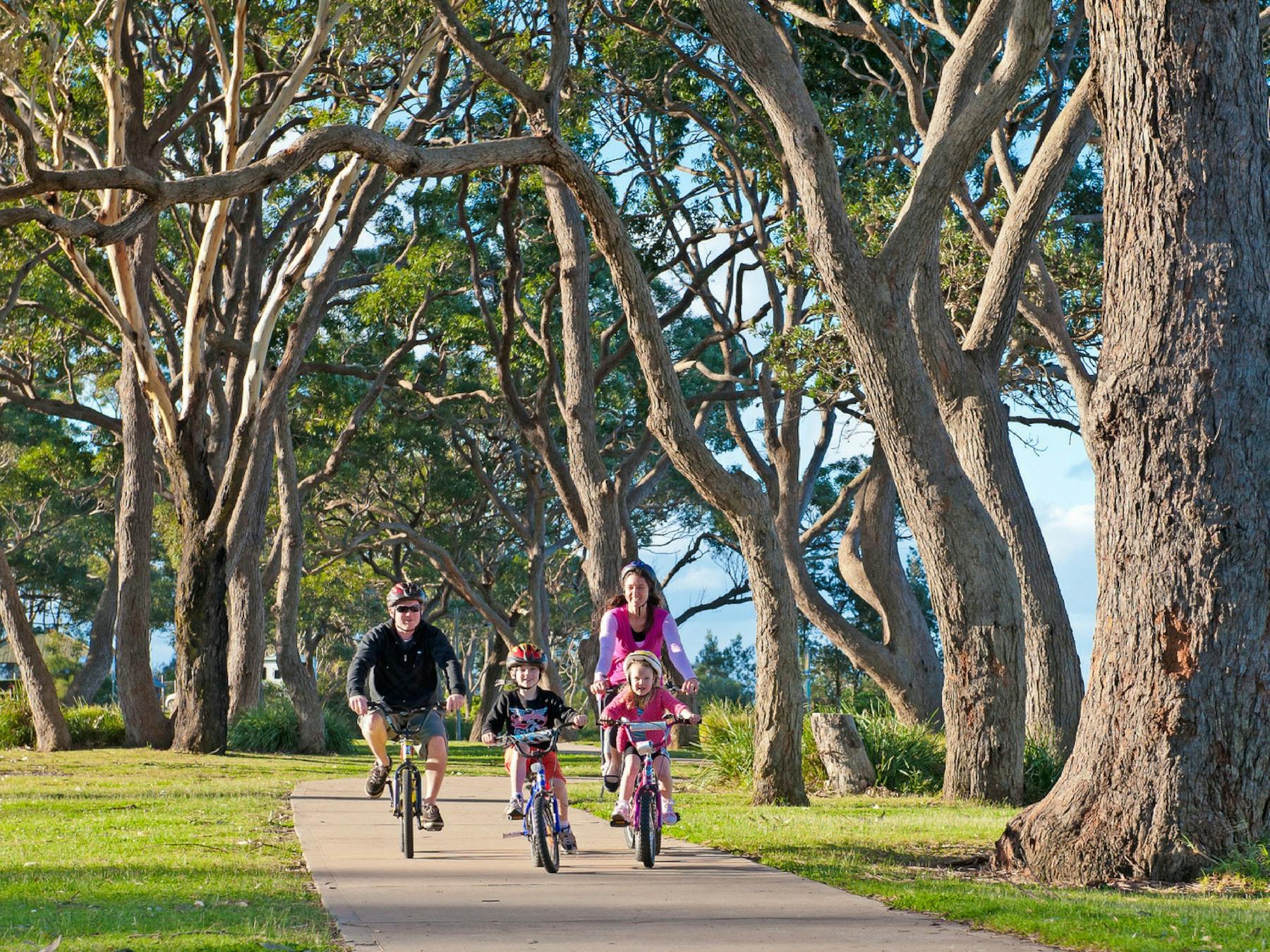 Shared pathway, ride, walk, coast, huskisson, vincentia