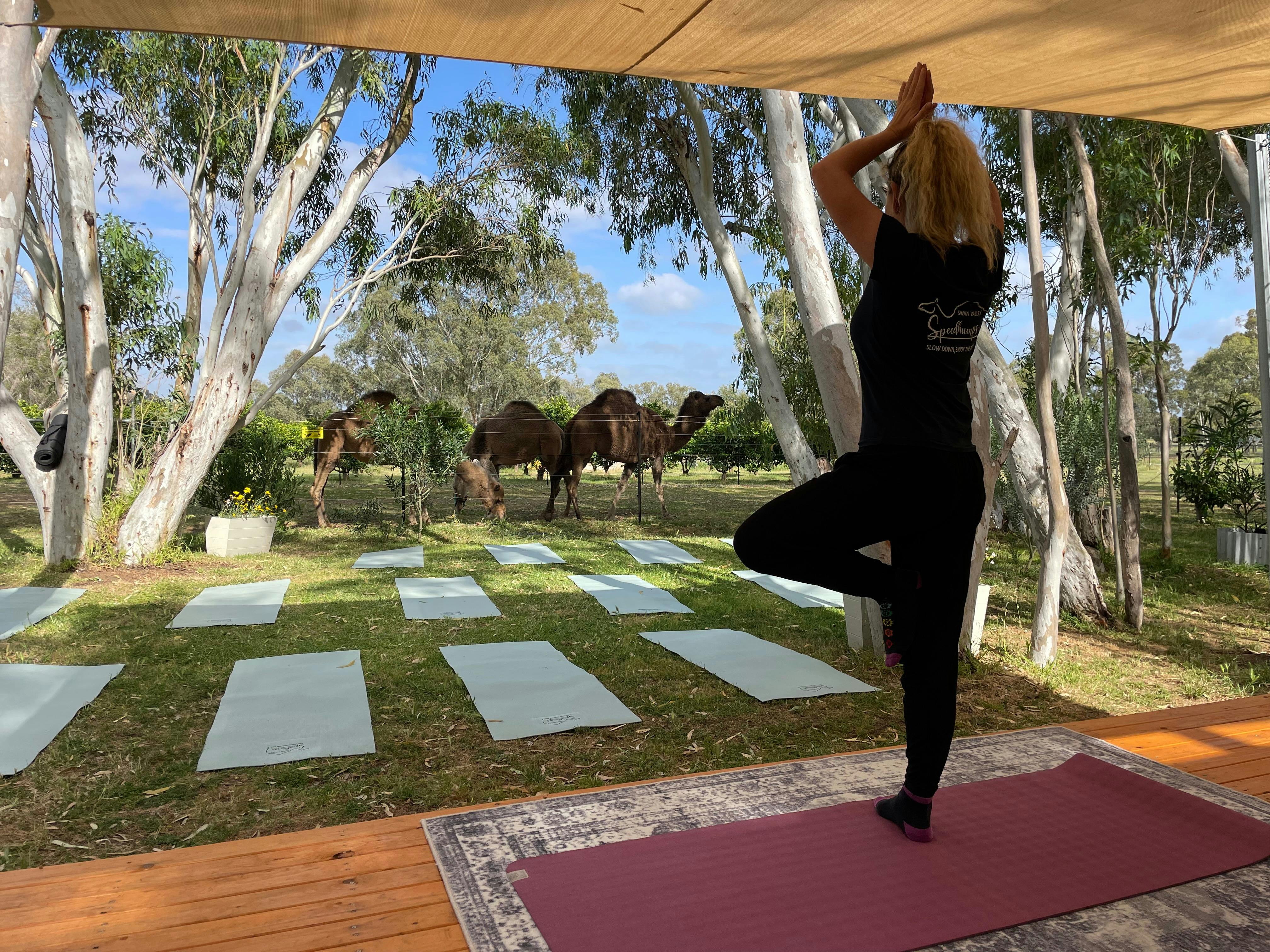Yoga with camels and luxury picnic