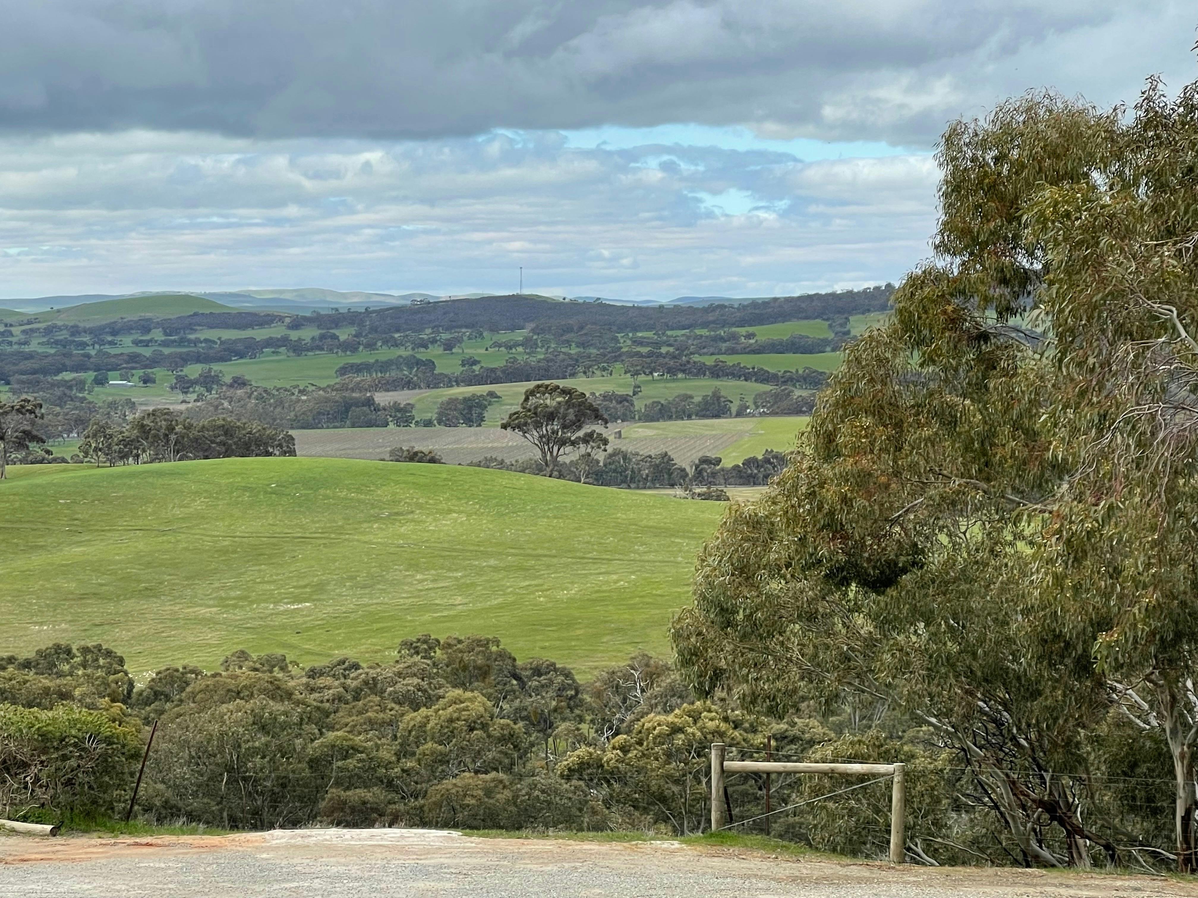 view from Paulett Wines' Dush de Vine Winery Restaurant
