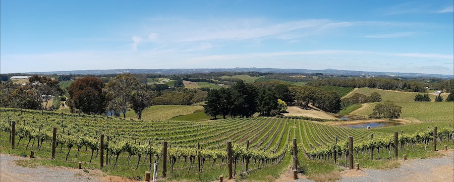 Adelaide Hills Divine Wine Tour