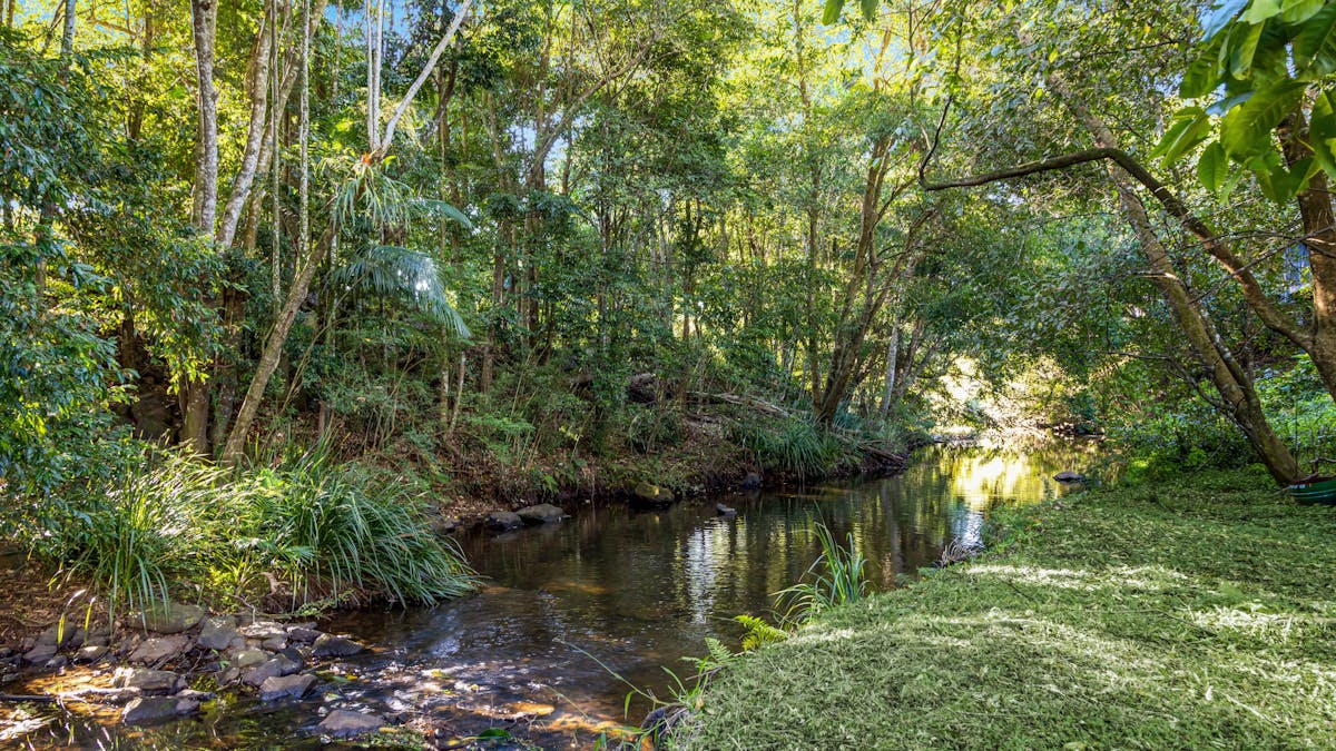 All villas have the view of Obi Obi Creek