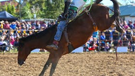 Jindabyne Rodeo
