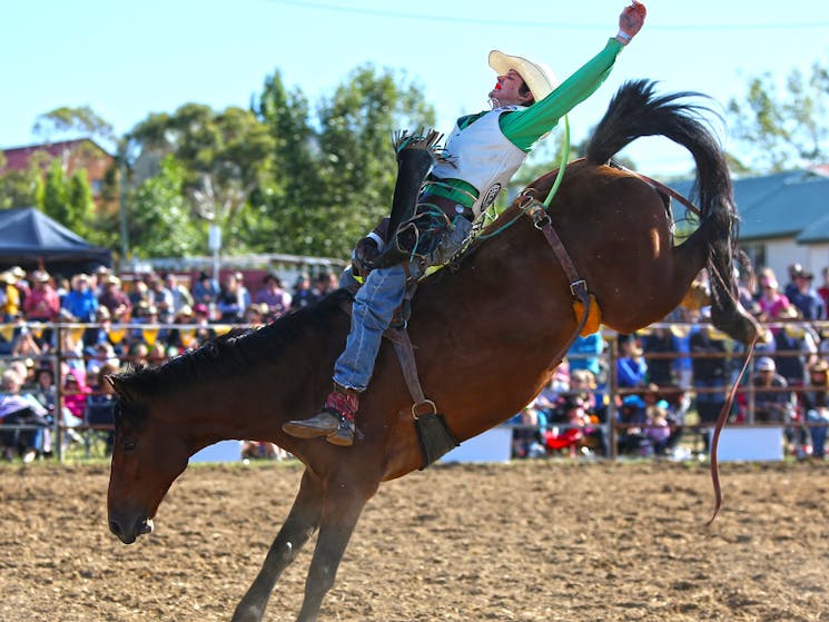 Jindabyne Rodeo