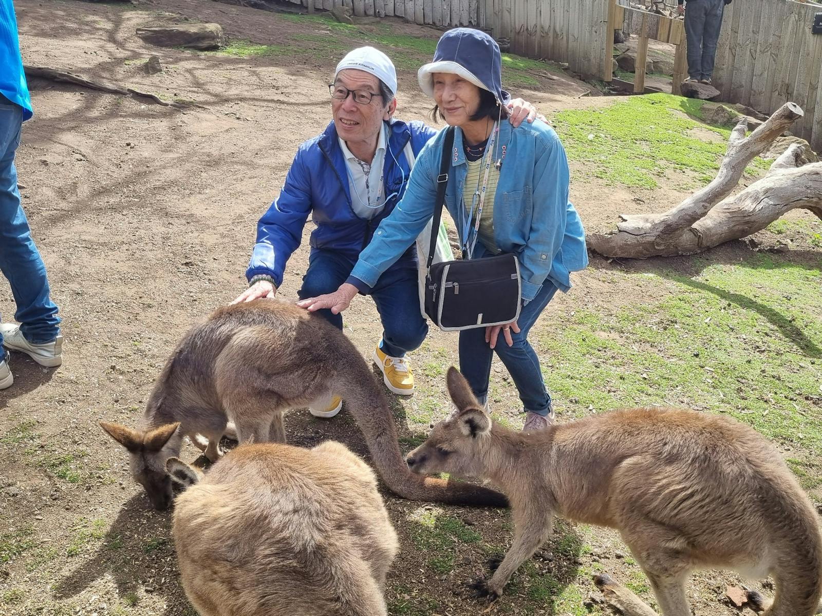 Members of the tour with a Kangaroo