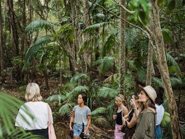Private Byron Bay tours Private Byron Bay tours