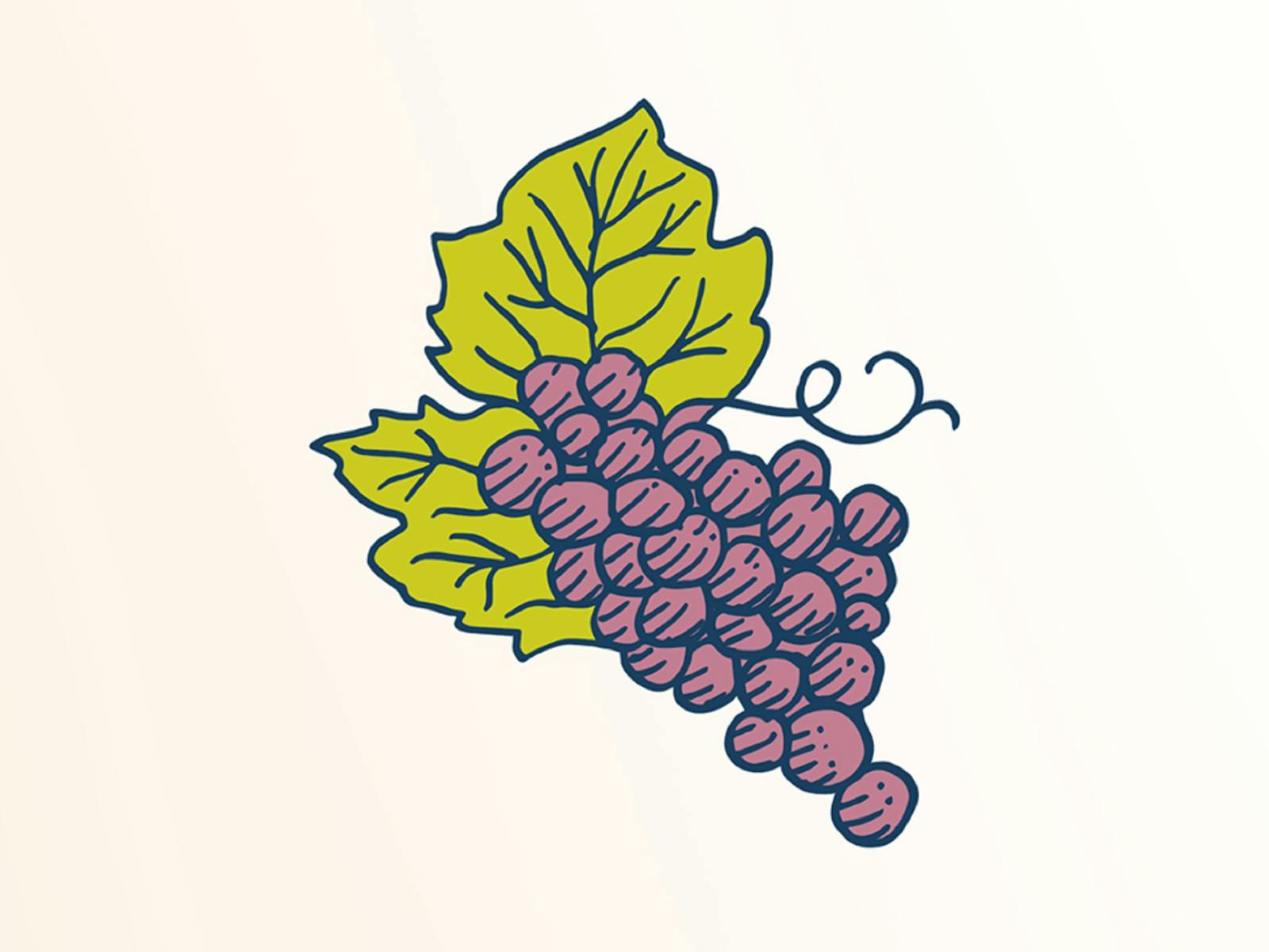 Image for Grapevine Gathering