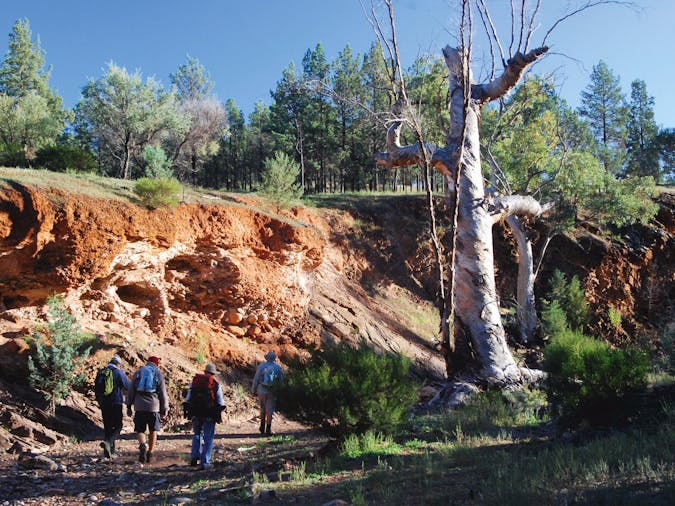 Heysen Trail and the Flinders Ranges