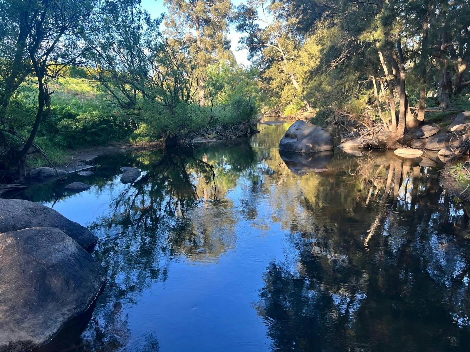 ウィンディオークス